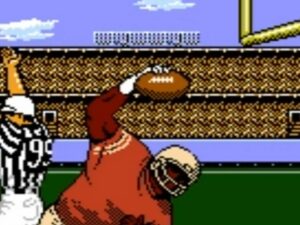 AFC/NFC Championship 2026 Admission